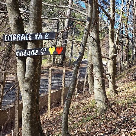 Shkreli Resort Qafeshtame Cudhi-Kamt Kültér fotó