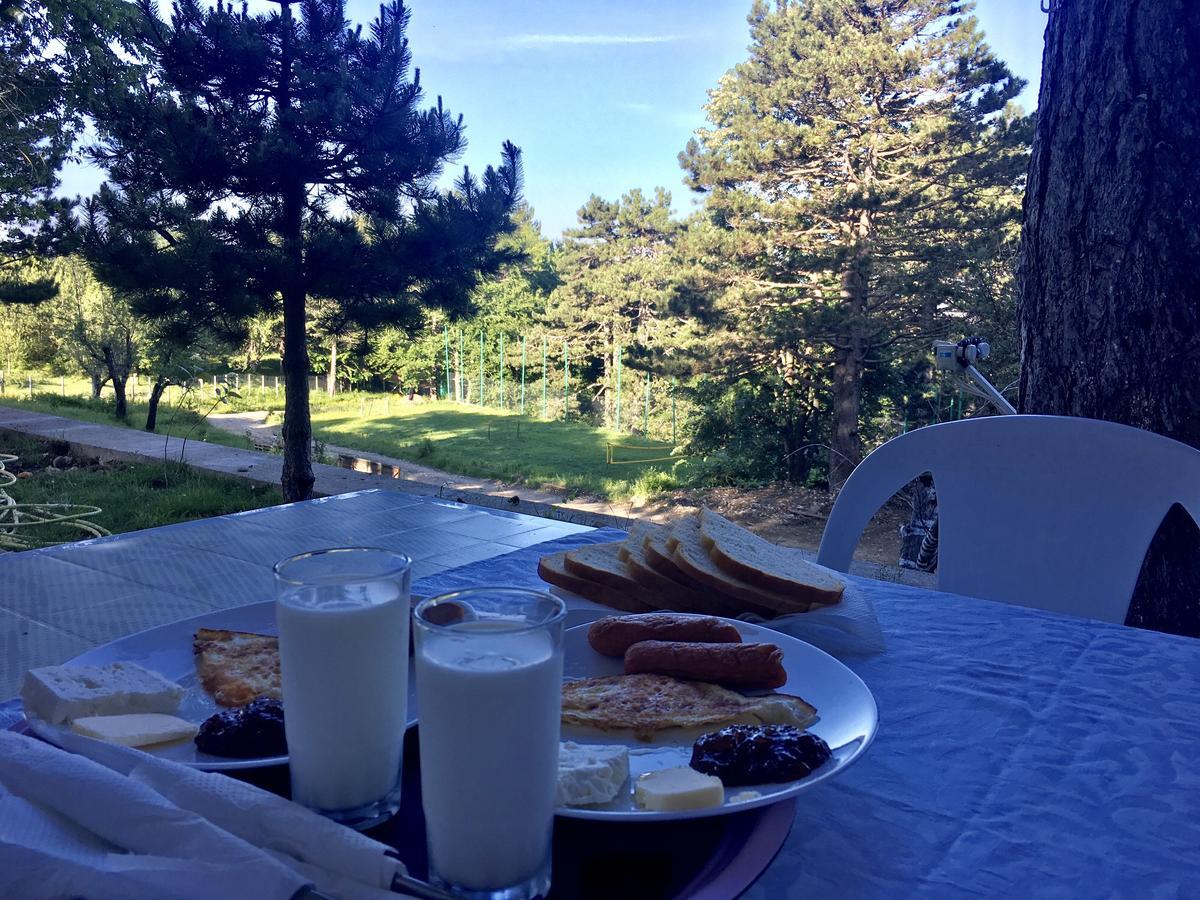 Shkreli Resort Qafeshtame Cudhi-Kamt Kültér fotó